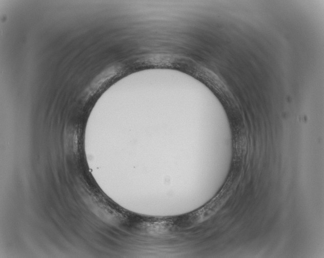 X0000085000120200703191100