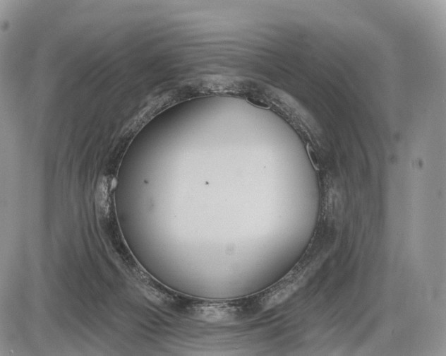 X0000085000121200703191100