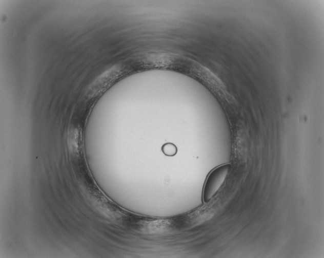 X0000085000122200703191100