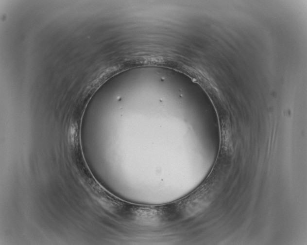 X0000085000123200703191100