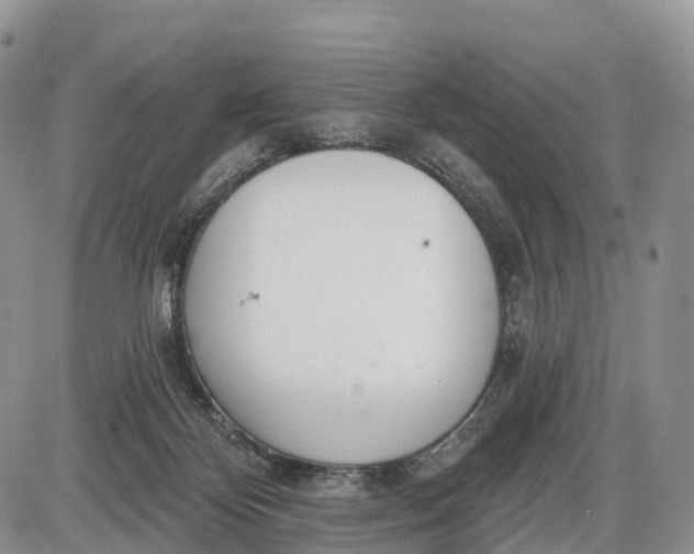 X0000085000124200703191100