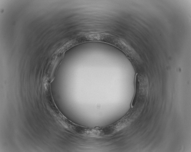 X0000085000125200703191100