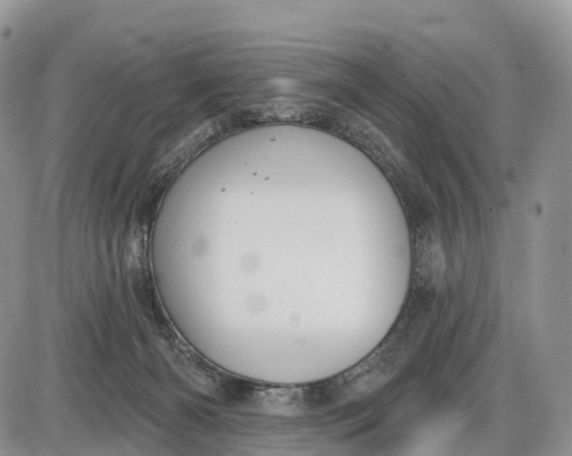 X0000085000126200703191100