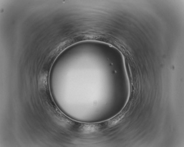 X0000085000127200703191100