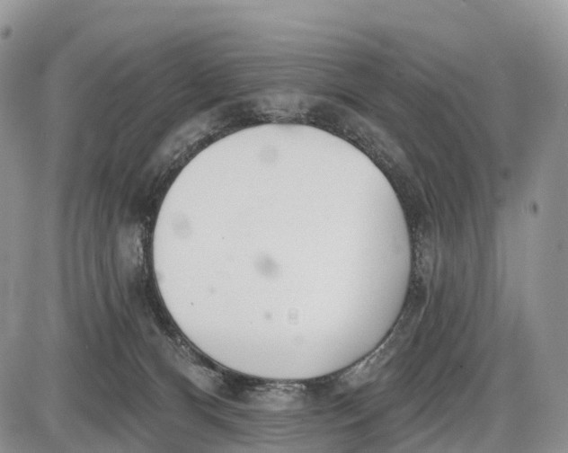 X0000085000128200703191100