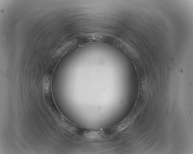 X0000085000129200703191100