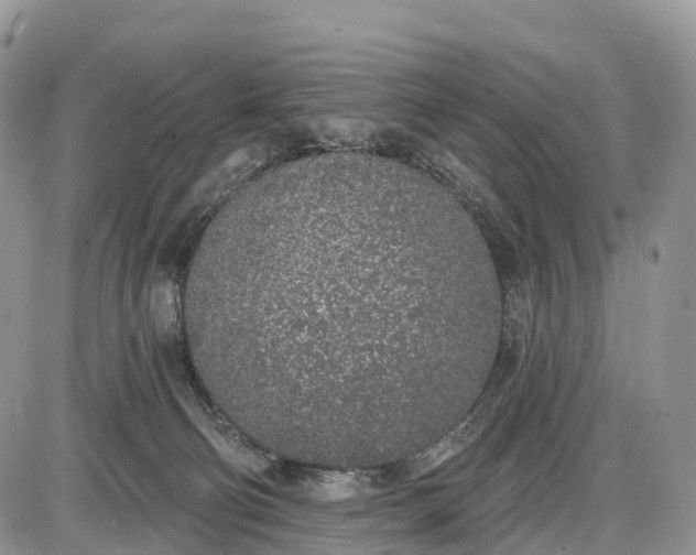 X0000085000130200703191059