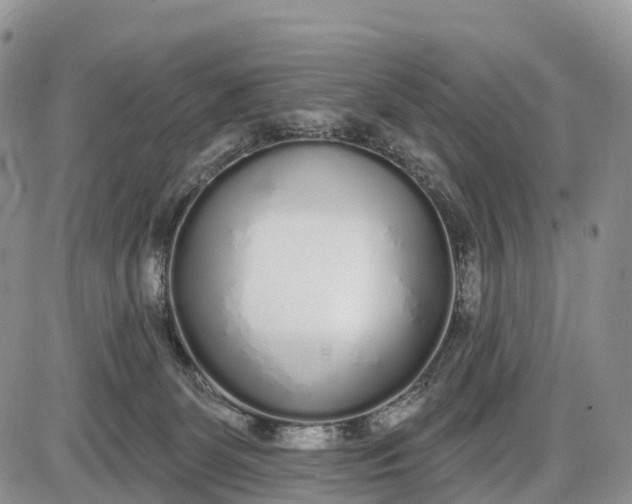 X0000085000131200703191059