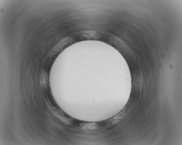 X0000085000132200703191059