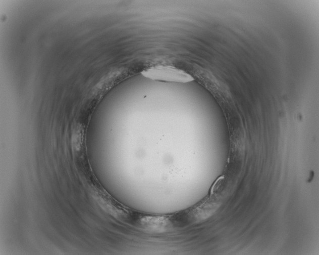 X0000085000133200703191059