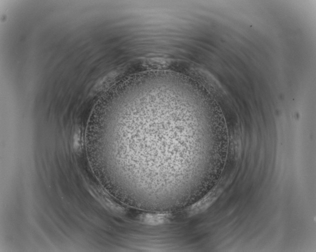 X0000085000134200703191059