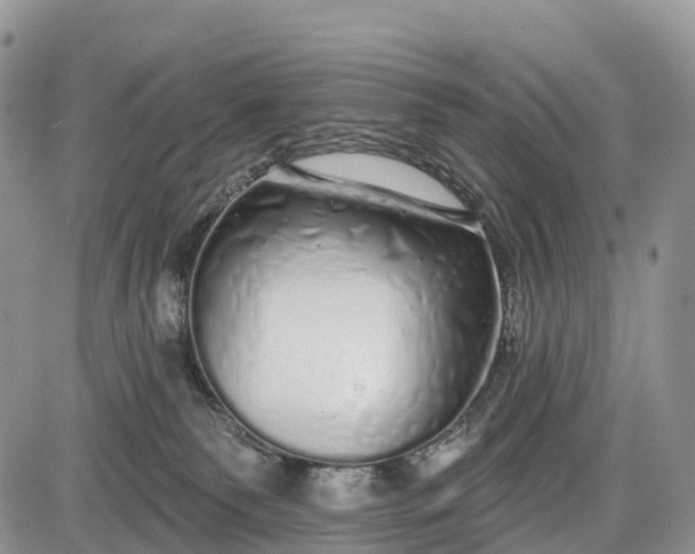 X0000085000135200703191059