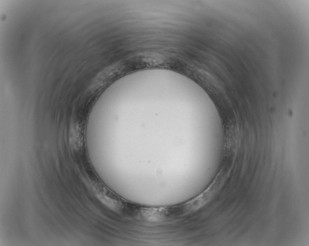 X0000085000136200703191059