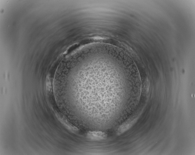 X0000085000137200703191059