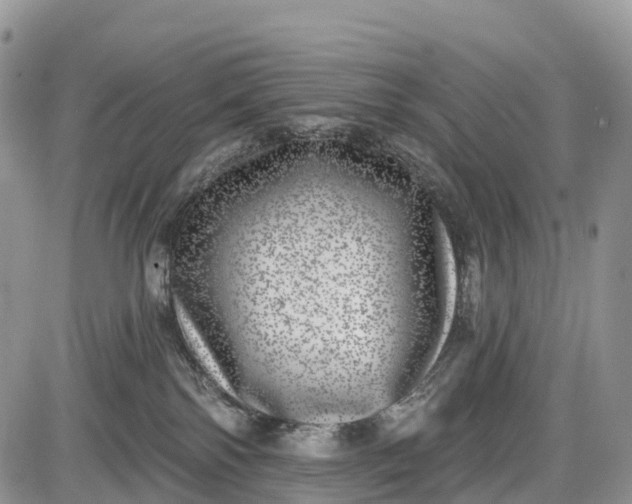 X0000085000138200703191059