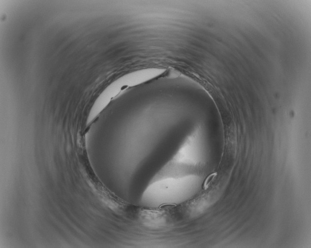 X0000085000139200703191059