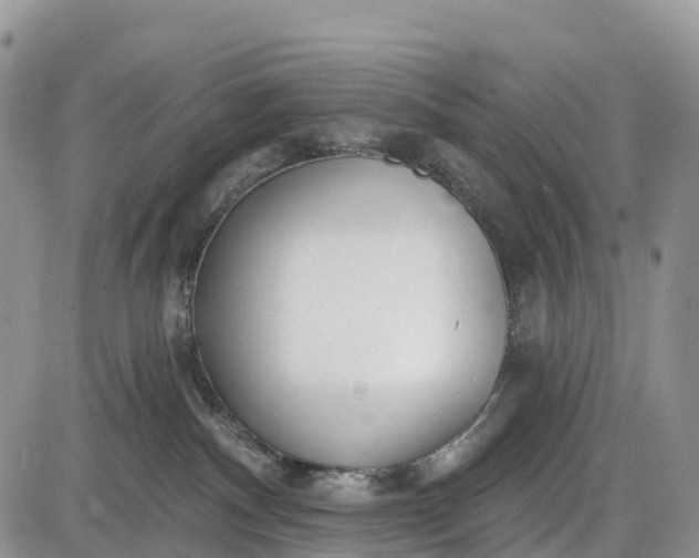 X0000085000140200703191059