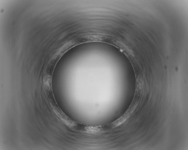 X0000085000141200703191059