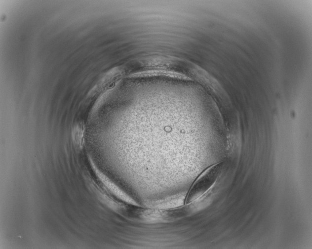 X0000085000142200703191059