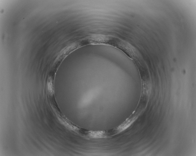 X0000085000143200703191059