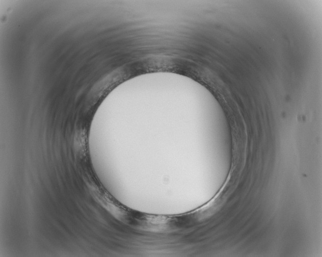 X0000085000144200703191059