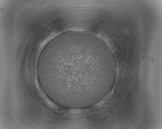 X0000085000145200703191058