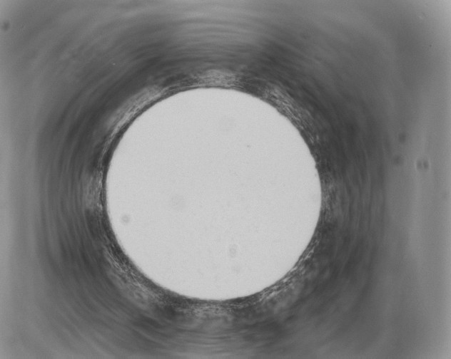 X0000085000146200703191058