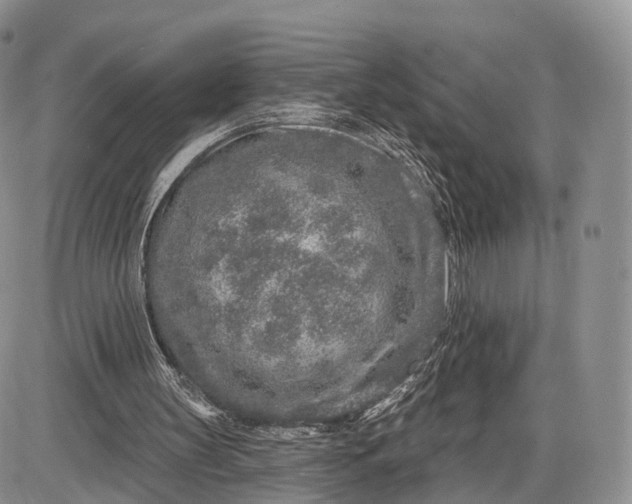 X0000085000147200703191058