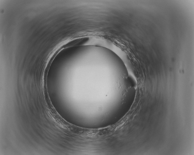 X0000085000148200703191059