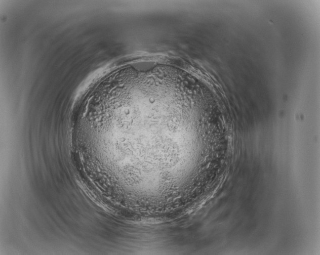 X0000085000149200703191059