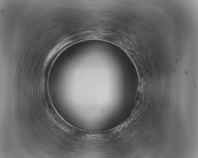 X0000085000150200703191059