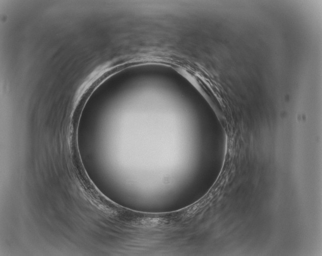 X0000085000152200703191059