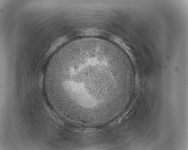 X0000085000153200703191059