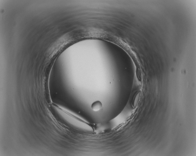 X0000085000154200703191059