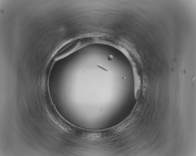 X0000085000156200703191059