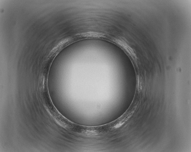 X0000085000157200703191059