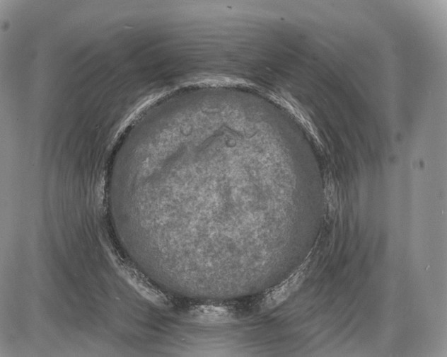 X0000085000159200703191059