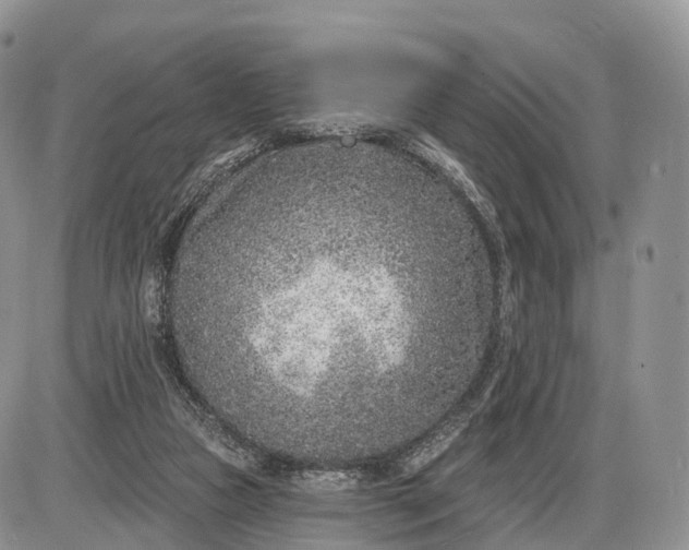 X0000085000161200703191059