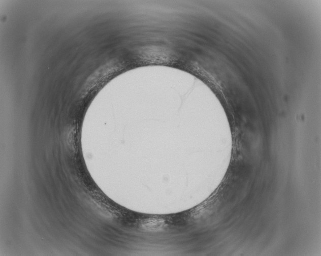 X0000085000162200703191059