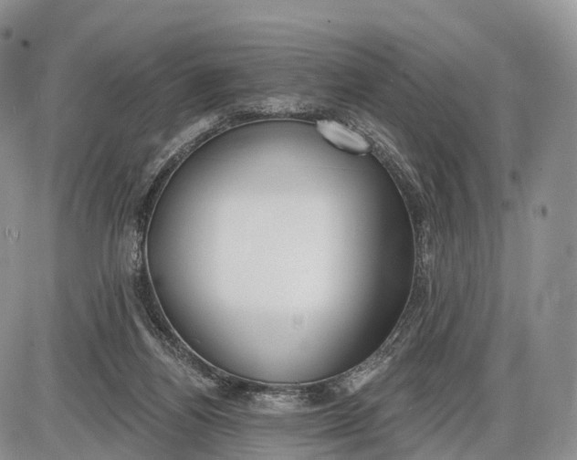 X0000085000164200703191059