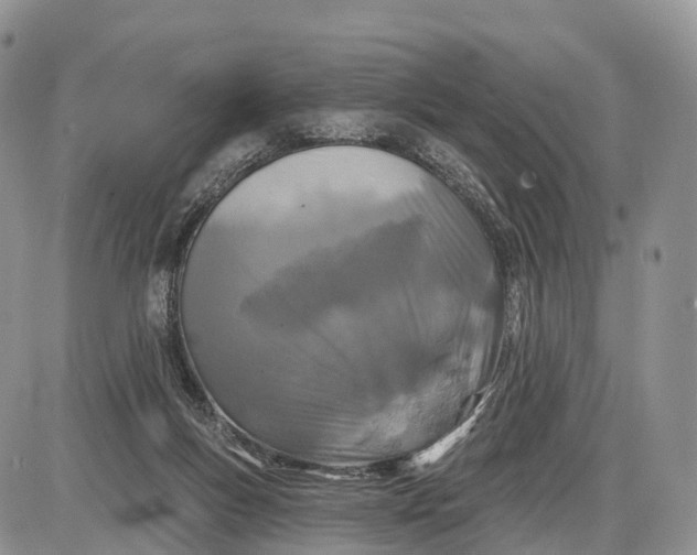 X0000085000167200703191059