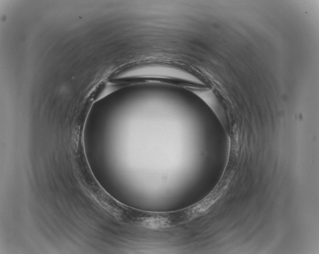 X0000085000168200703191059