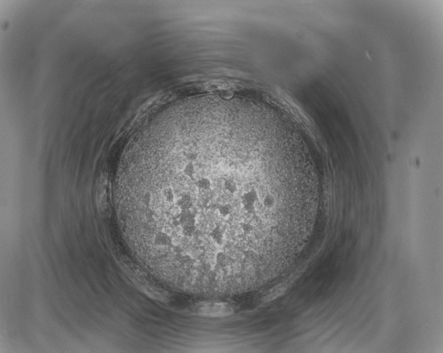 X0000085000169200703191059