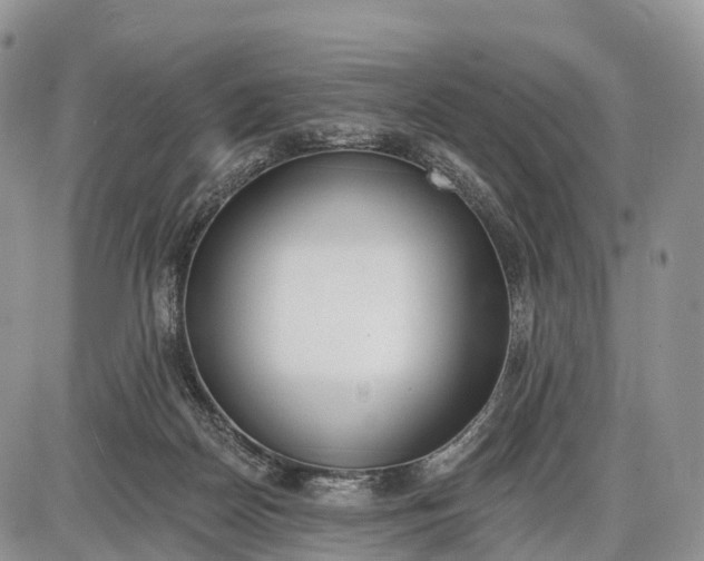 X0000085000170200703191059