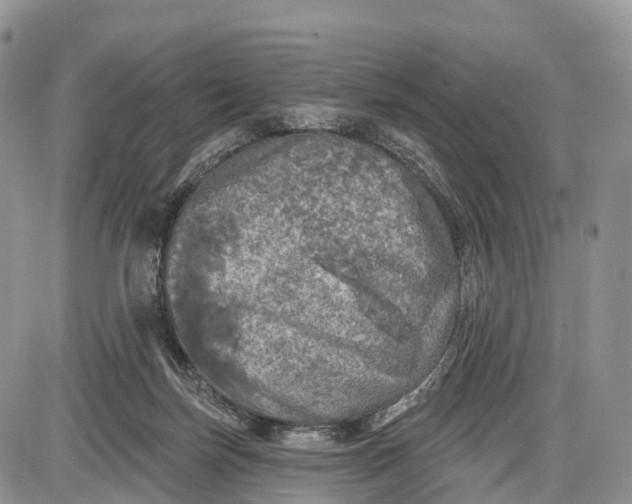 X0000085000171200703191059