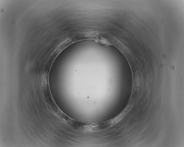 X0000085000172200703191059