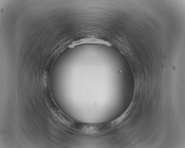 X0000085000174200703191059