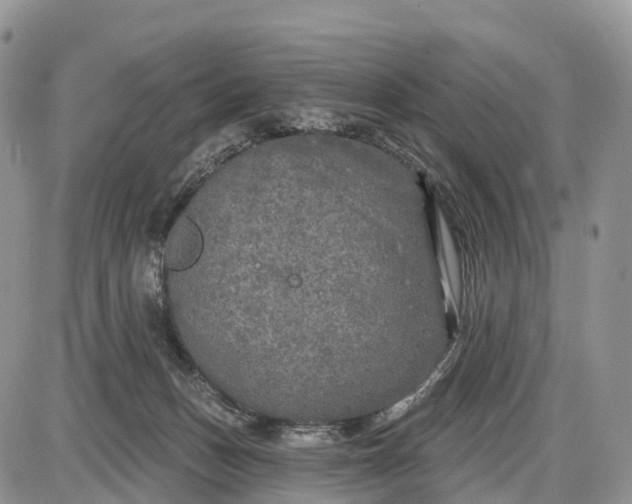 X0000085000175200703191059