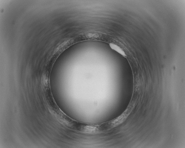 X0000085000176200703191059