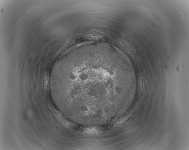 X0000085000177200703191059